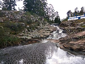 Archivo:Salto de Agua - Cerro Chato (2)