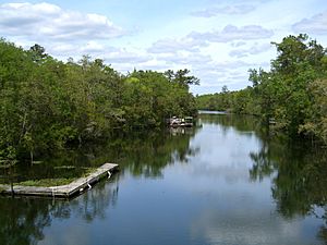 Archivo:St Marks River at Newport, Florida