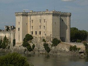 Archivo:Tarascon Castle on the Rhône