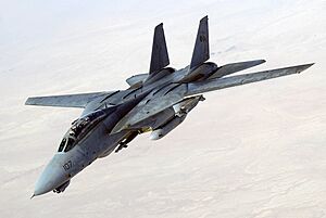 Archivo:US Navy 051105-F-5480T-015 An F-14D Tomcat, conducts a mission over the Persian Gulf-region
