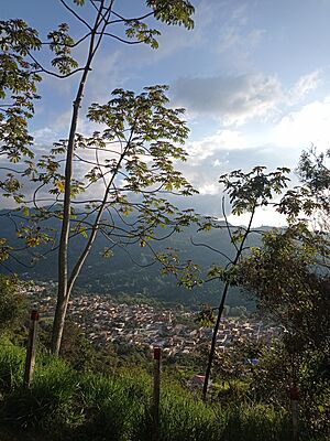 Archivo:VistaAltoVirgen