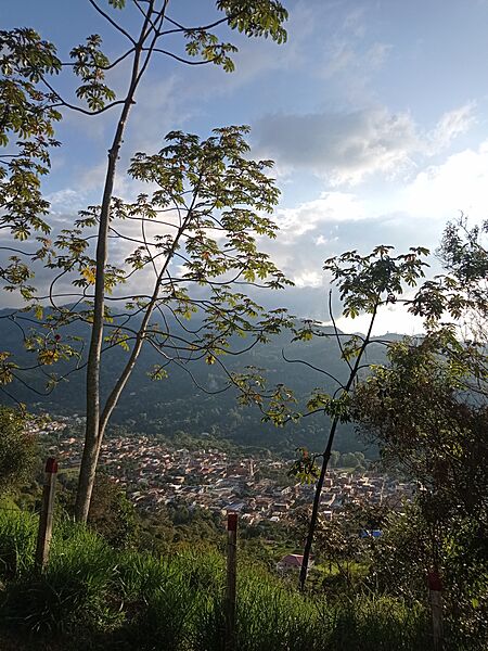 VistaAltoVirgen