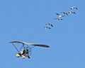 09-01-17 WhoopingCranes