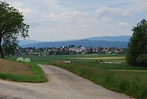 Archivo:2012-05-26-Seeland (Foto Dietrich Michael Weidmann) 320