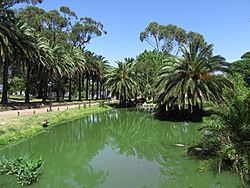 2016 lago del Parque Rodó Montevido Uruguay.jpg