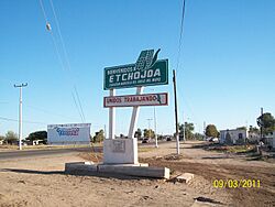ACCESO A ETCHOJOA, SONORA - panoramio.jpg