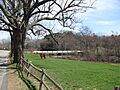 A field on the Town River, West Bridgewater MA