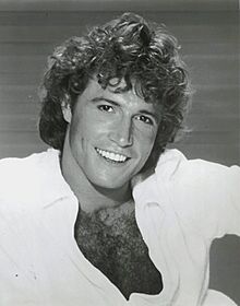 Andy Gibb Solid Gold publicity photo.jpg