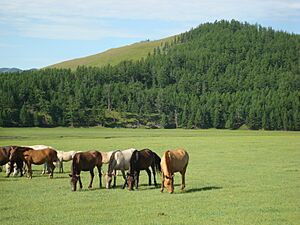 Archivo:Arkhangai Aimag17