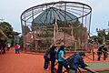 Aves Papagayos - Parque de las leyendas