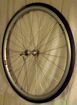 Archivo:Bicycle wheel