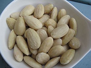 Archivo:Blanched almonds