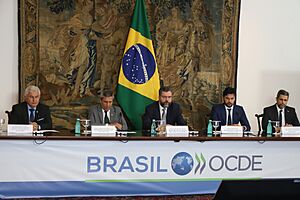 Archivo:Brasil OCDE (50534029652)