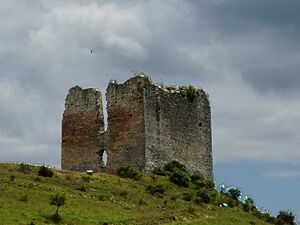 Archivo:Cabrejas del Pinar - Castillo 02