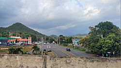 Carretera PR-117, intersección con el expreso PR-2, Sabana Grande, Puerto Rico.jpg