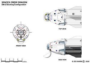 Archivo:Dragon 2 DM-2 02