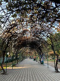 Archivo:Entrada Parque Juan XXIII