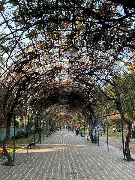 Entrada Parque Juan XXIII