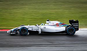 Archivo:Felipe Massa 2014 British GP 014