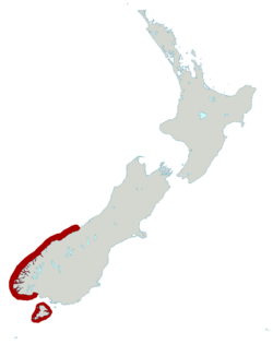 Distribución del Pingüino de Nueva Zelanda