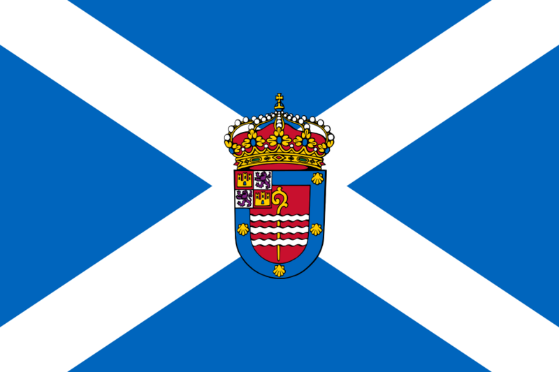 Flag of Nigrán with CoA