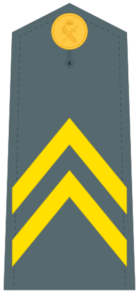 Guardiacivildivi29