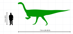 Archivo:Human-plateosaurus size comparison