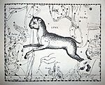 Archivo:Johannes Hevelius - Prodromus Astronomia - Volume III "Firmamentum Sobiescianum, sive uranographia" - Tavola Y - Lynx