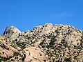 La Pedriza RI-55-0000441 P1070261