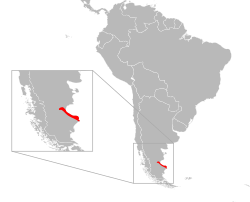 Distribución de Liolaemus kingii