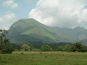 Archivo:Mount Nimba Strict Nature Reserve-108450