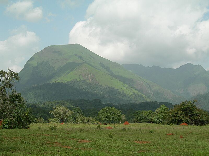 Mount Nimba Strict Nature Reserve-108450