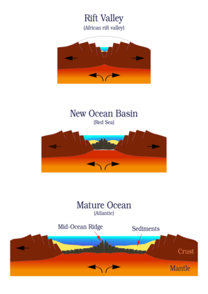 Archivo:Ocean-birth