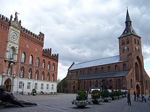 Odense Rathaus und Dom.JPG