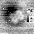 PTCDA AFM