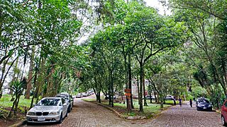 Parque Nacional Naciones Unidas - 51365656022