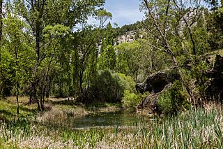 Parque Natural del Cañón del Río Lobos, Soria, España, 2017-05-26, DD 19.jpg
