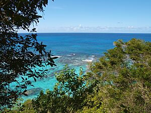 Archivo:Playa Sardinera en Isla de Mona, Mayagüez, Puerto Rico
