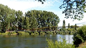 Archivo:Puente Colgante Rio Rahue