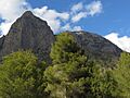 Puig Campana desde la Font del Molí