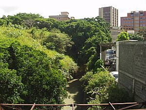 Archivo:Quebrada de Baruta