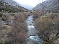 Río Cardaño
