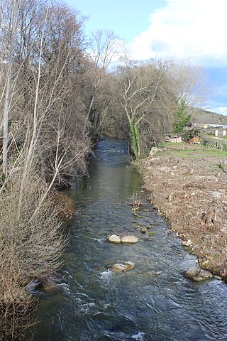Río Ramacastañas. 02. March 2018 by Asqueladd.JPG