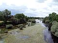 Río Tiétar desde AV-920