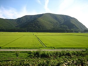 Archivo:Rice Paddies In Aizu, Japan