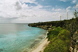 Archivo:SW Bonaire