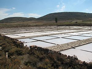 Archivo:Salinas de Imón 2