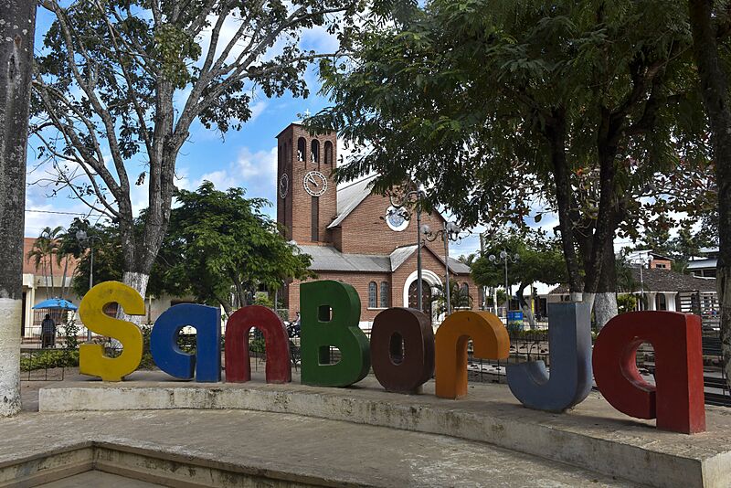 San Borja 5