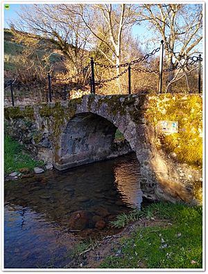 Archivo:San millan de lara 38 (Puente medieval)