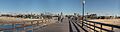 Seal-beach-01s